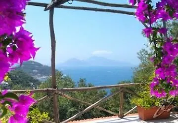 Hotel La Maison Conca Azzurra Sorrento